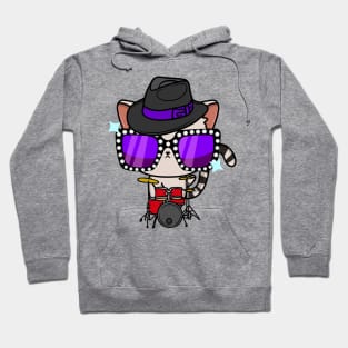 Cute Tabby Cat jamming on the drums Hoodie